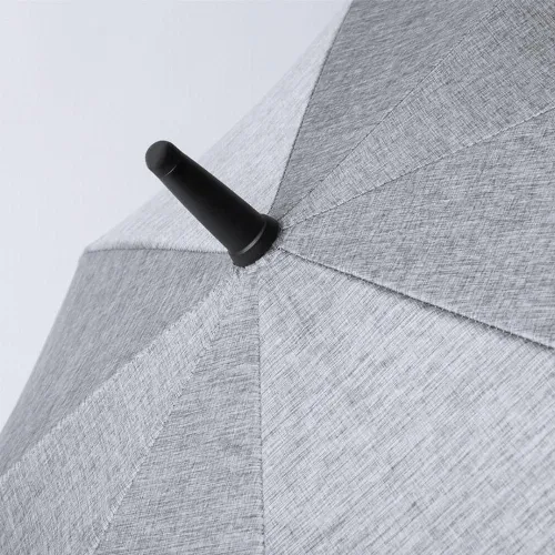 Dewey - Image 4