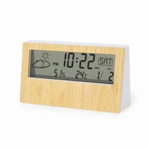 Weather Station - Roamer