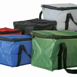 Cooler bag 12 can
