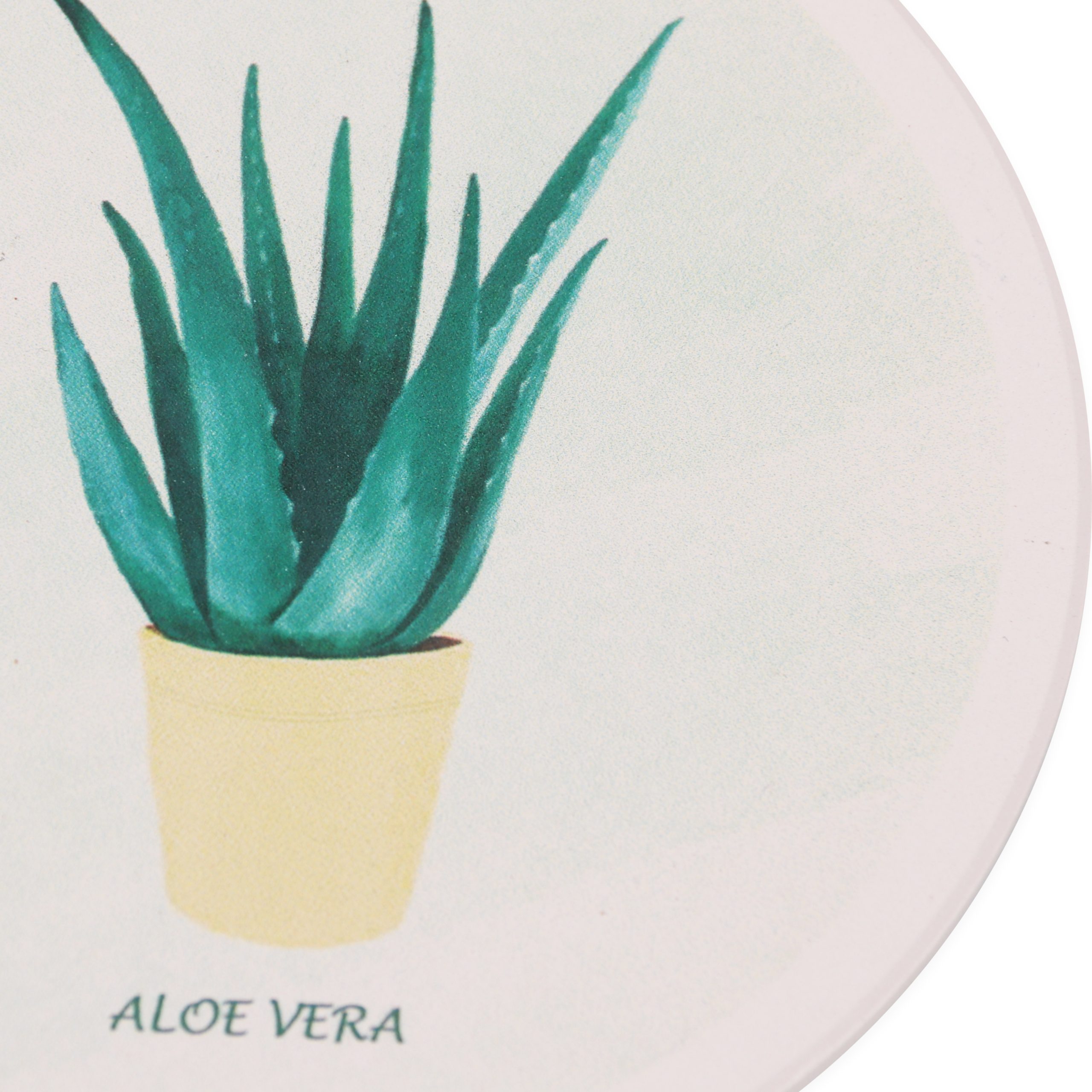 Water Absorbant Coasters - Image 6