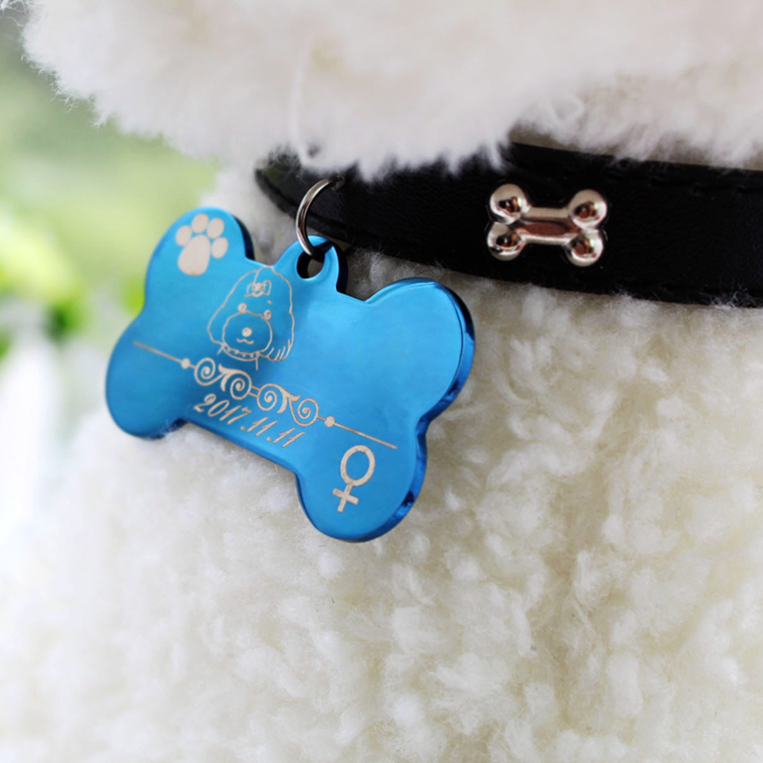 Pet ID Tag - Image 9