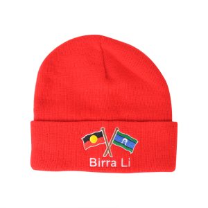 Stock Colour Knitted Beanies