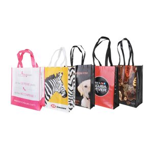 Full Colour Non Woven Bag with Large Gusset