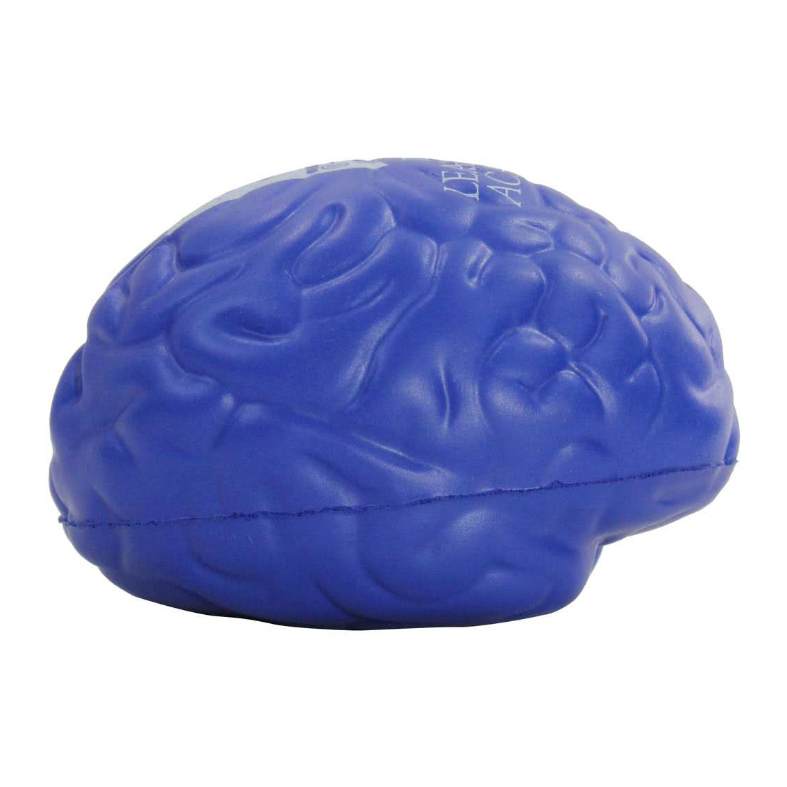 Brain Shape Stress Reliever - Image 6