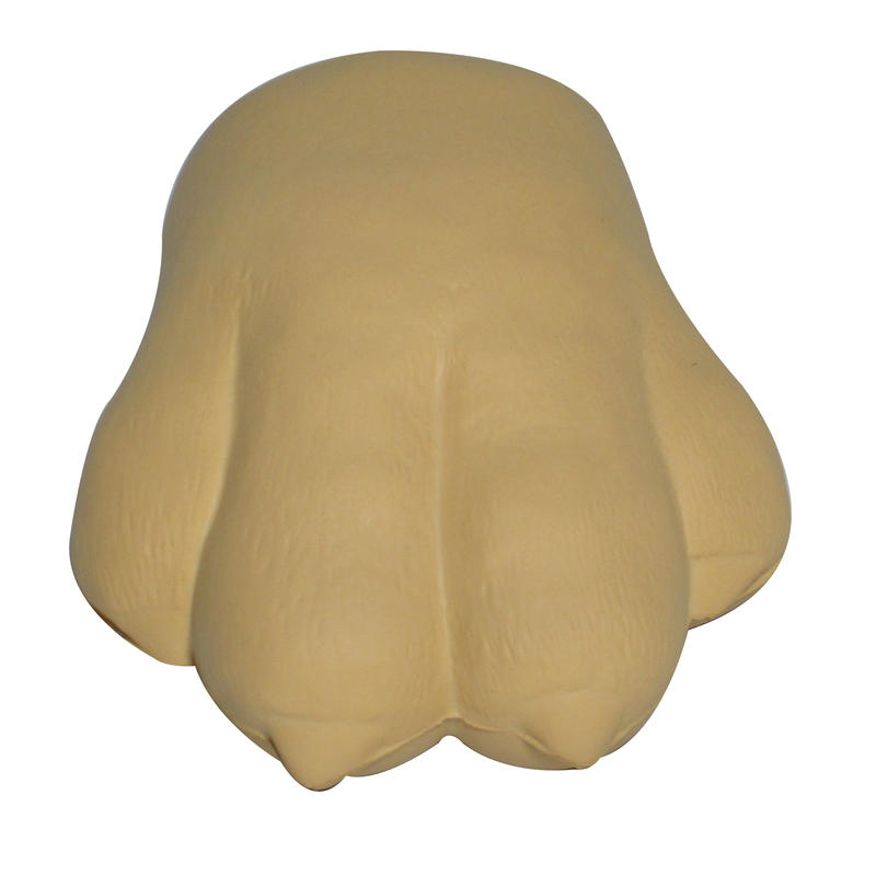 The Dog Paw Shape Stress Reliever - Image 5