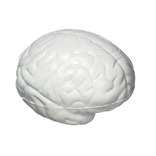 Large Brain Shape Stress Reliever - Image 7