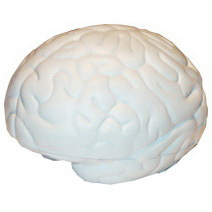 Large Brain Shape Stress Reliever - Image 6