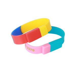 Sectional Coloured Wristband Flash Drive