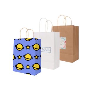 Twisted Handle Kraft Paper Bag(260x330x120mm)