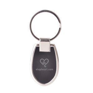 Le Mans Shield Keyring