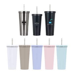 480ML/650ML Double Wall Stainless Steel Tumbler with Straw