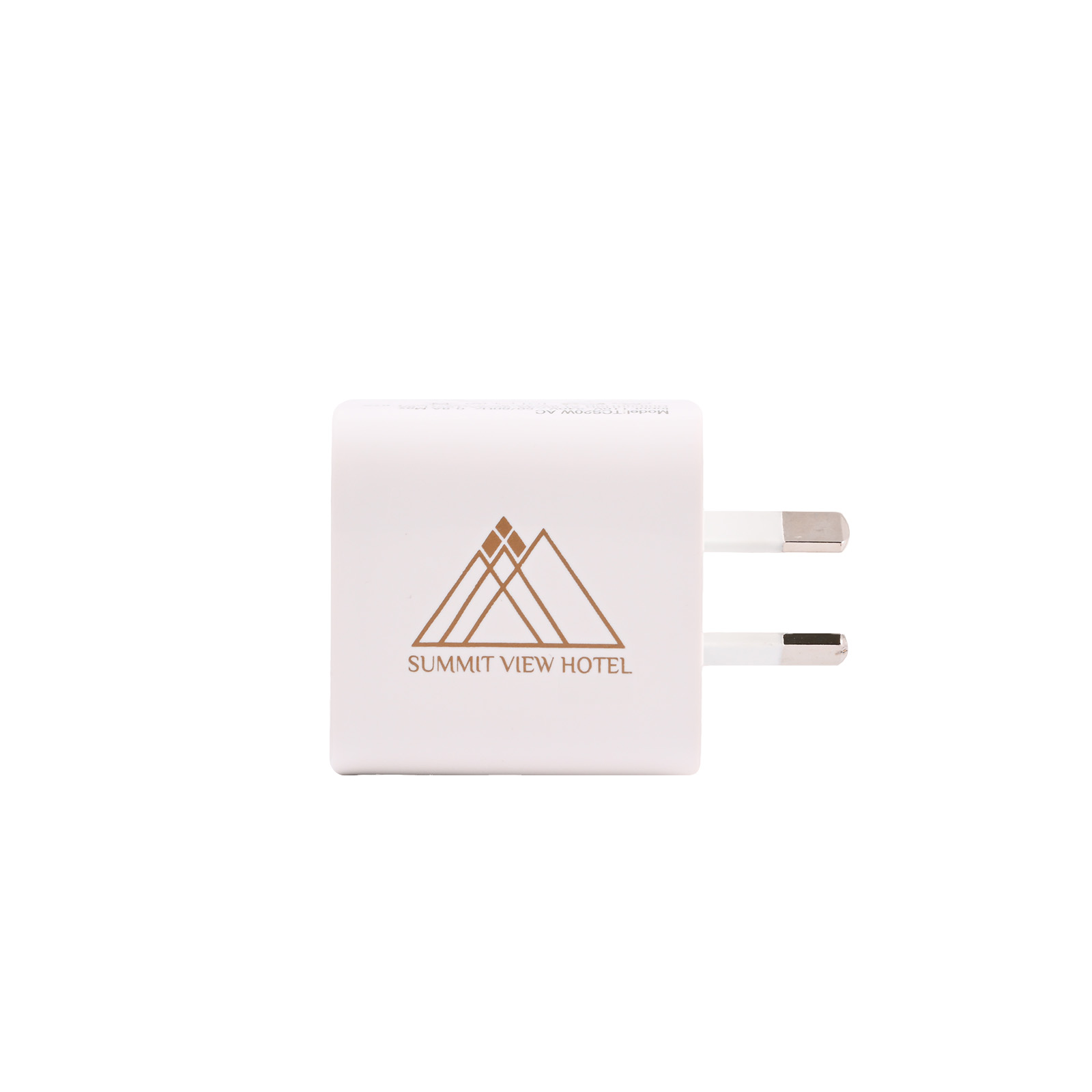 Paramount Wall Charger - Image 3
