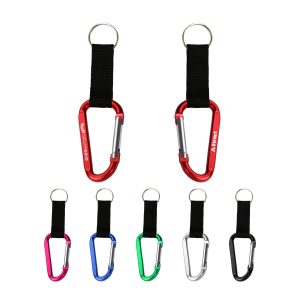 Carabiner Keychain