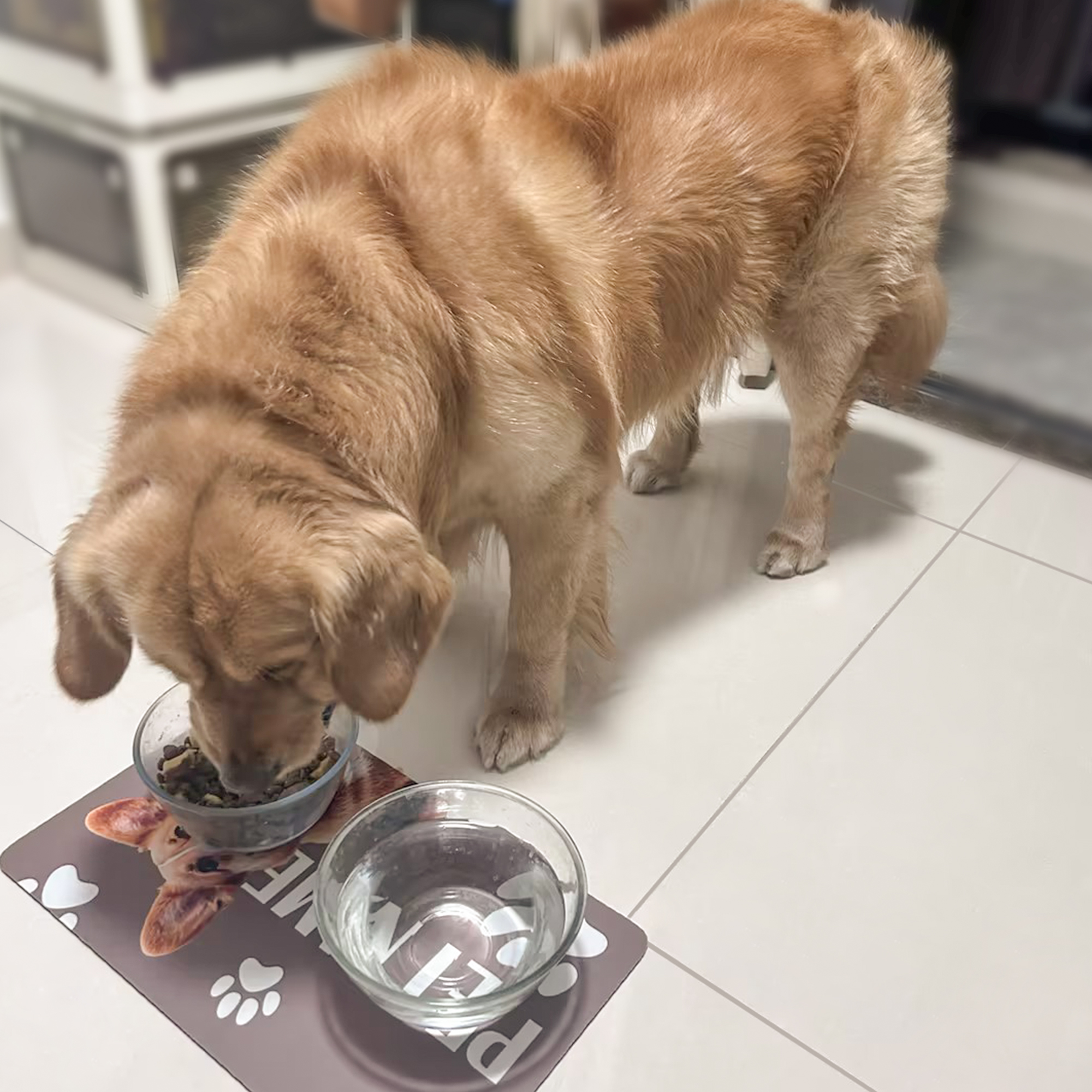 Pet Feeding Mat - Image 8