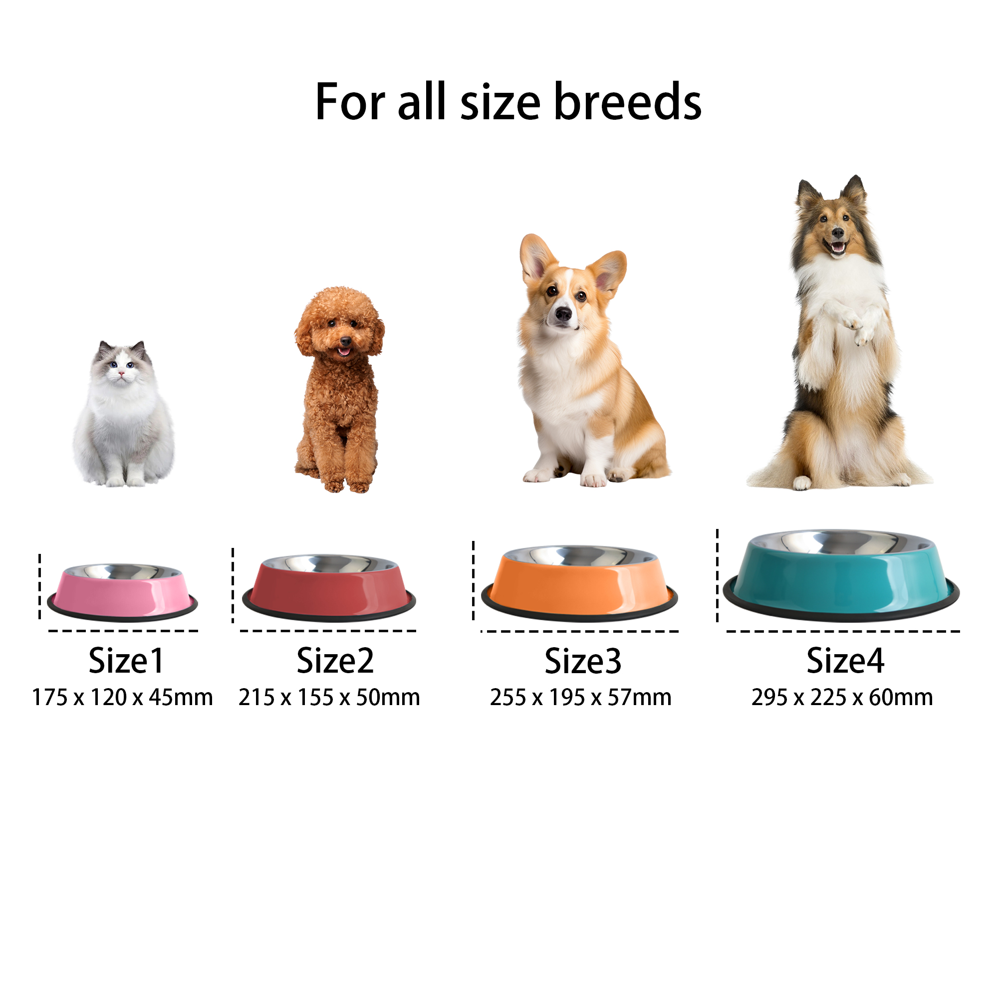 Pet Feeding Bowl - Image 7