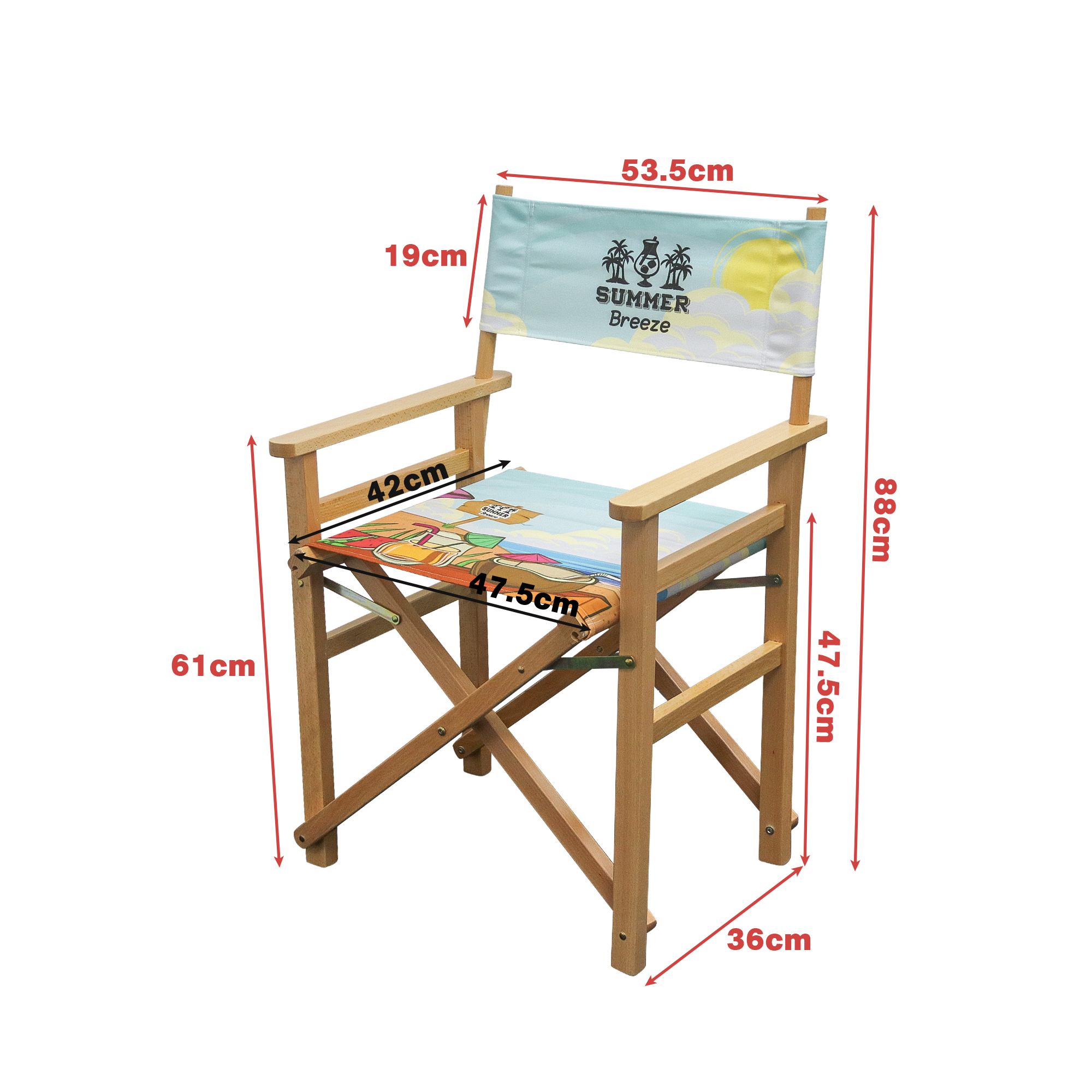 Director's Chair - Image 4