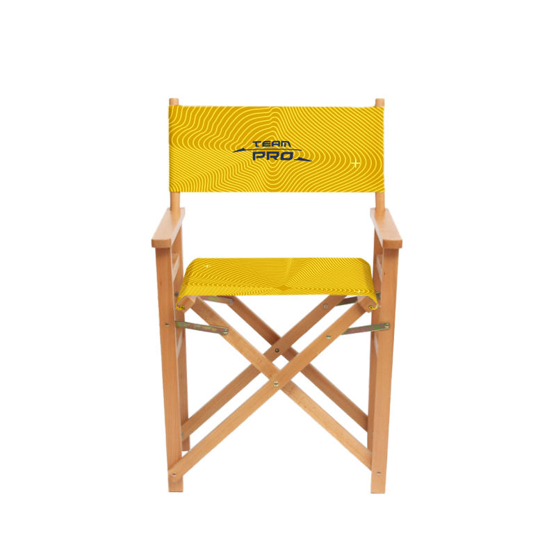 Director's Chair - Image 2