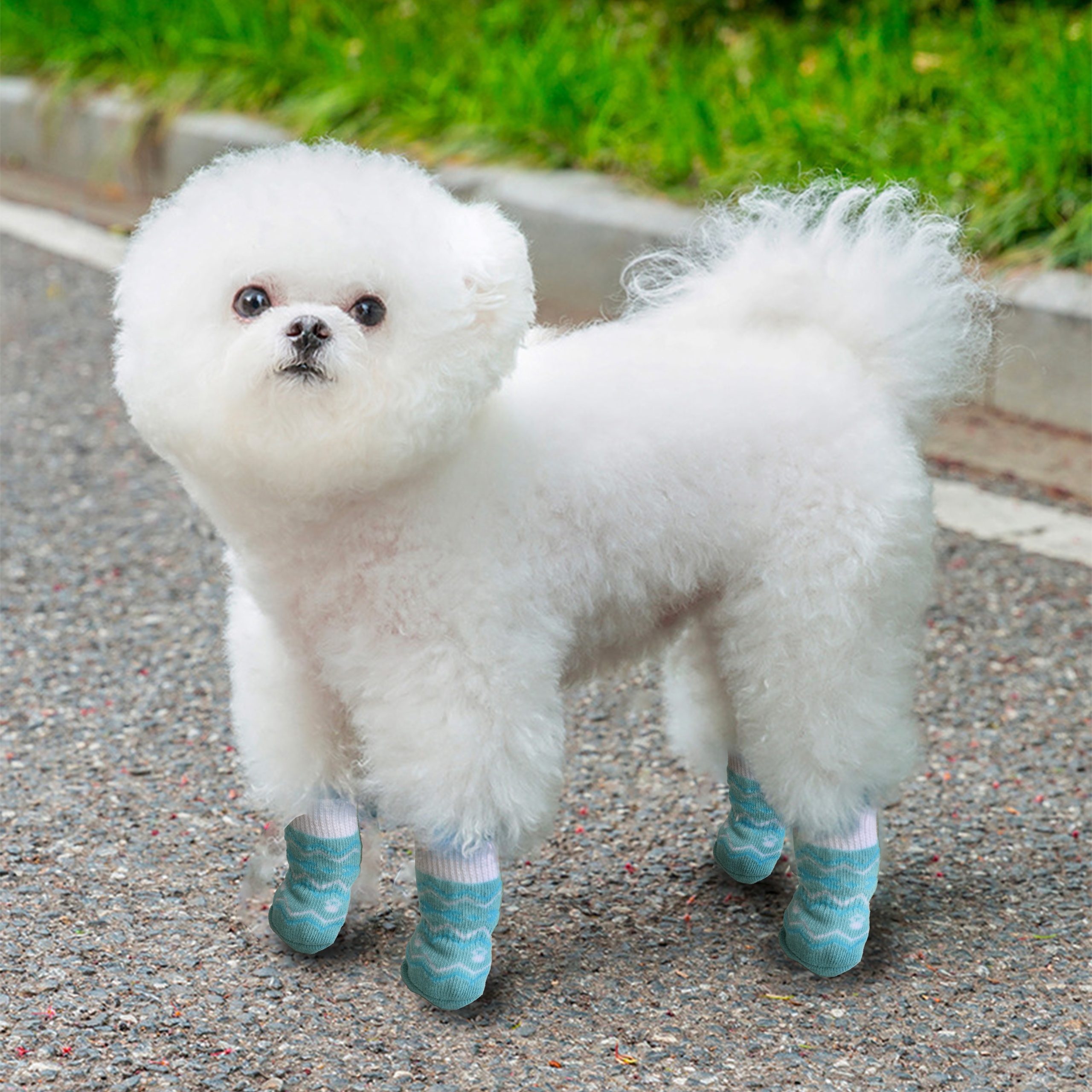 Pet Socks - Image 10