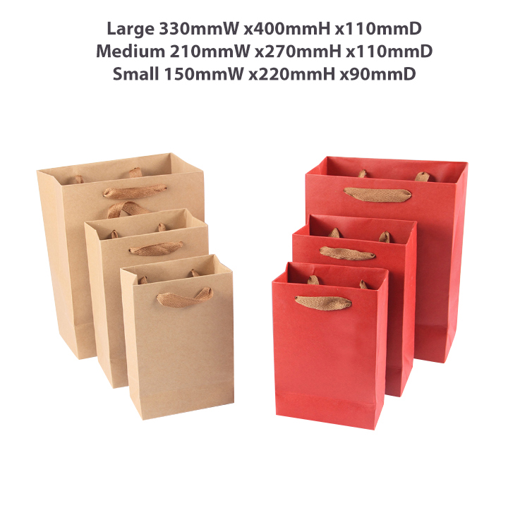 Medium Vertical Paper Bag with Fabric Flat Handle(210 x 270 x 110mm) - Image 9