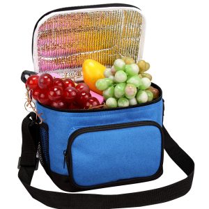 Cheetah cooler bag
