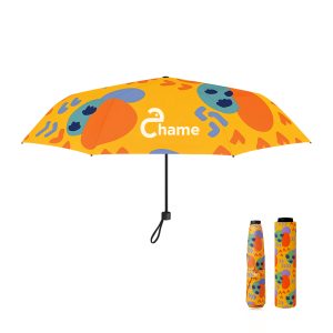 Small Lite Umbrella