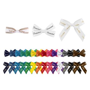 Hair Clip Bows