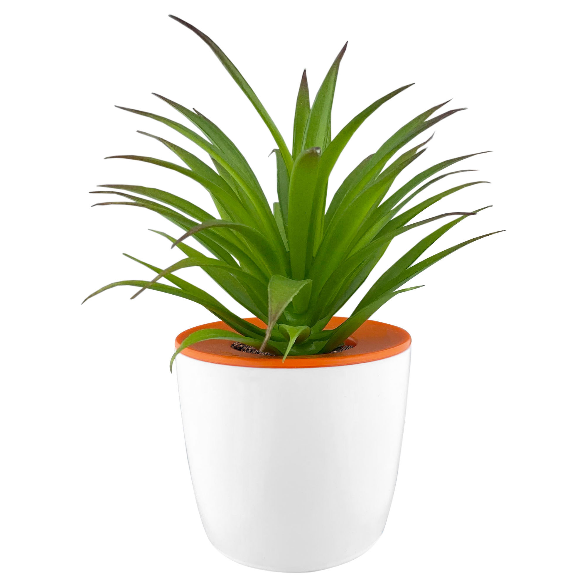 Mini Desk Plant Pot - Image 8