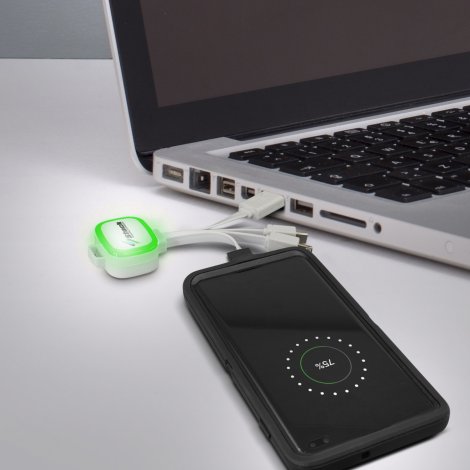 Zodiac Charging Cable - Image 8
