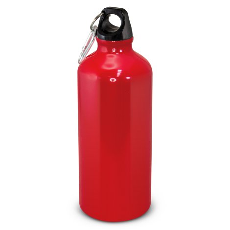 Intrepid Bottle - 600ml - Image 3