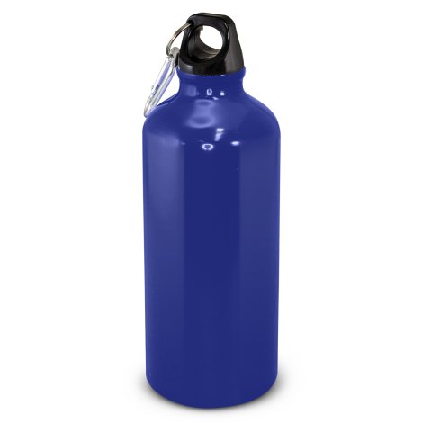 Intrepid Bottle - 600ml - Image 5