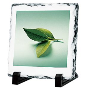 Wallace Photoframe