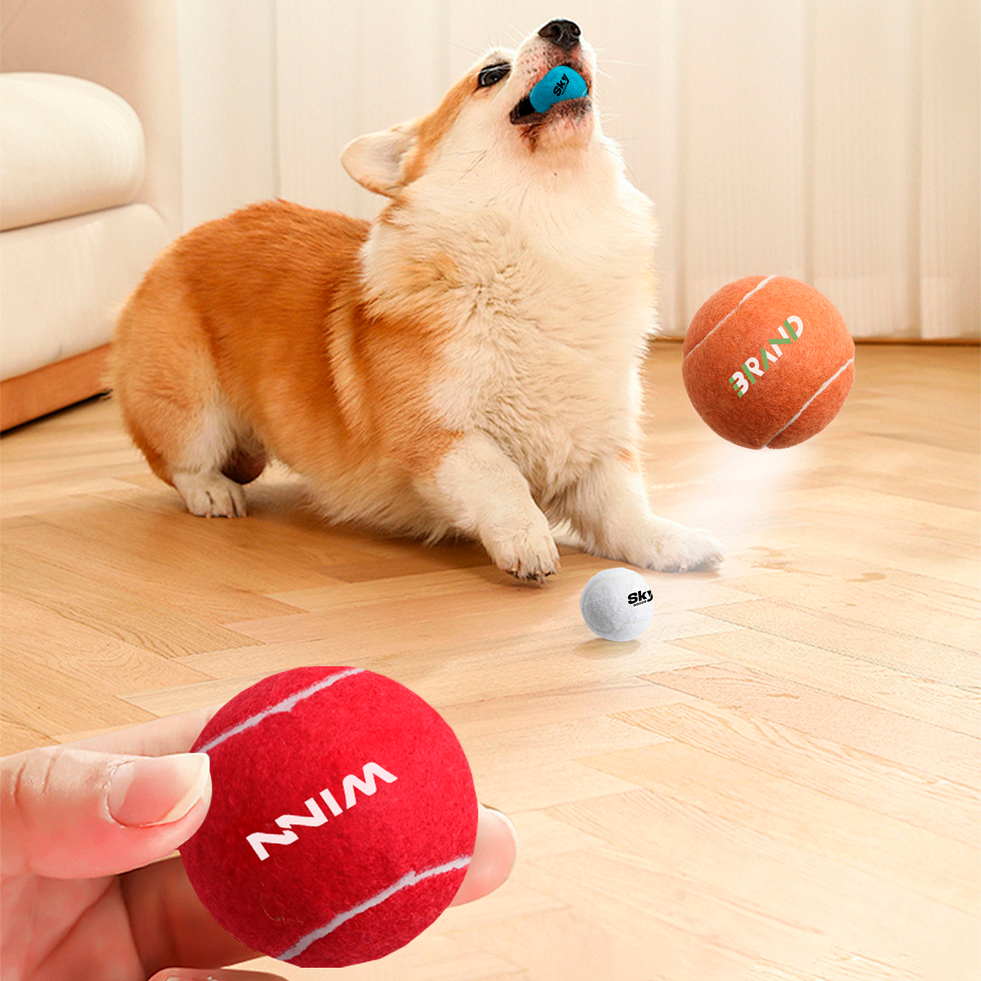 Pet Tennis Ball - Image 13