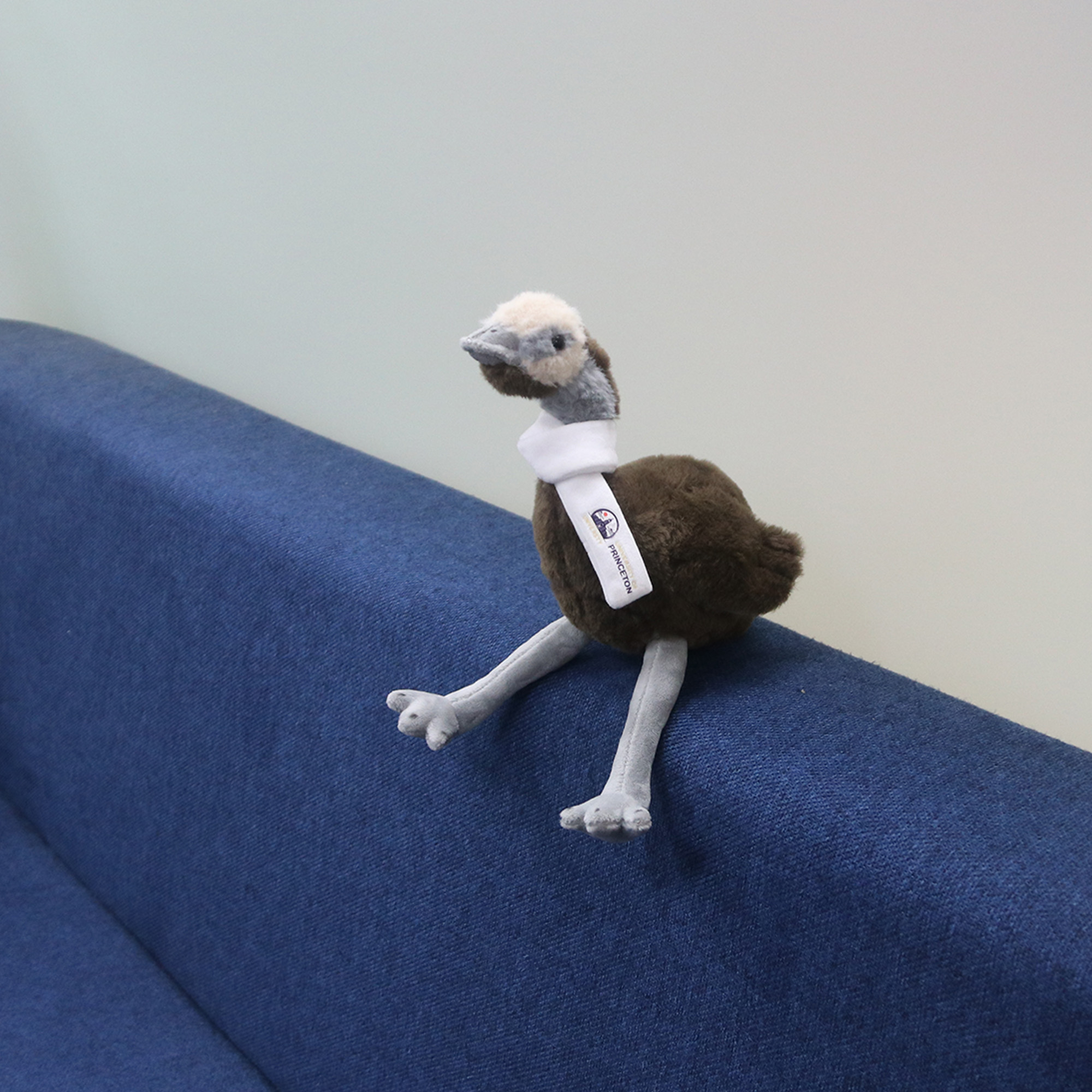 Custom Emu Plush Toy - Image 8
