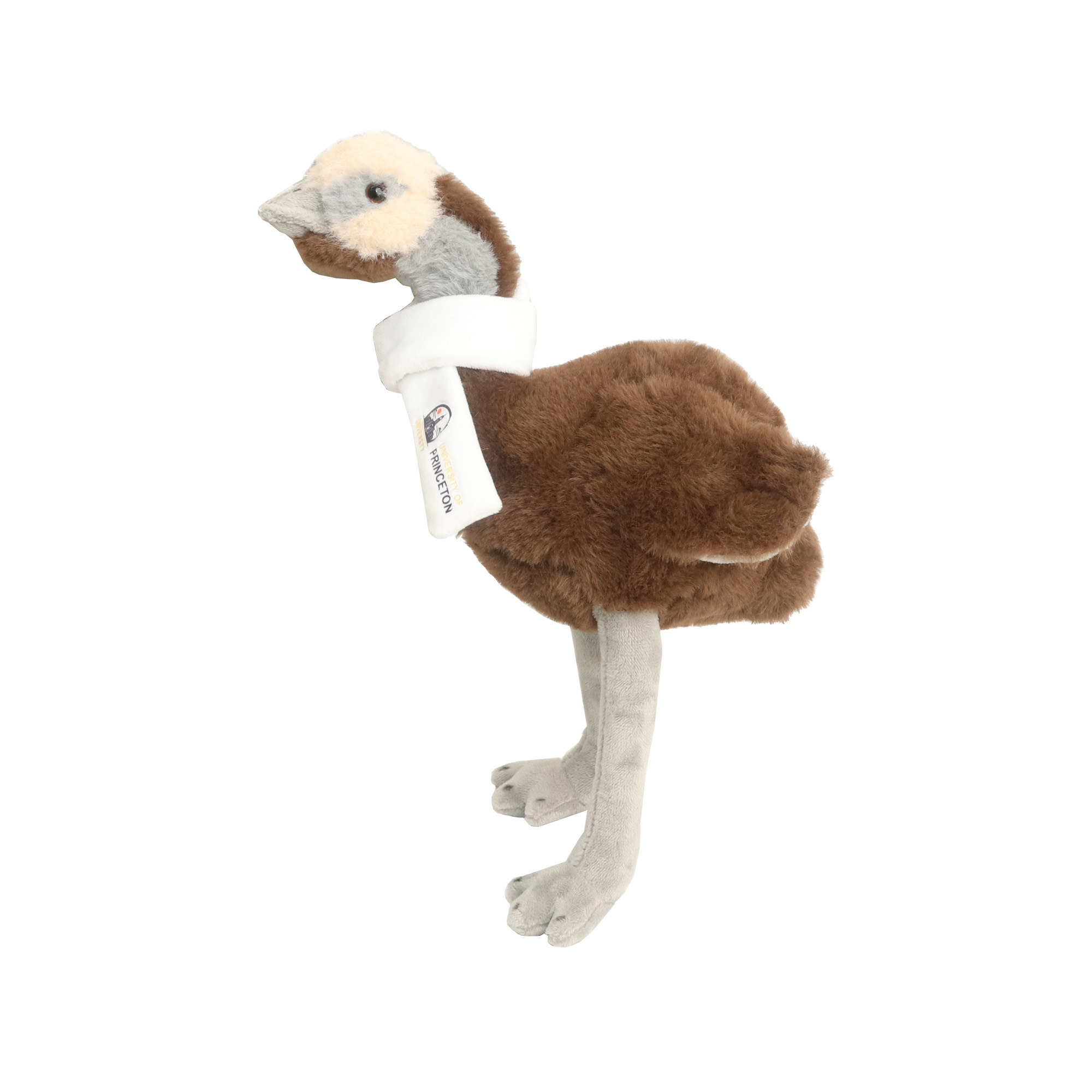 Custom Emu Plush Toy - Image 3