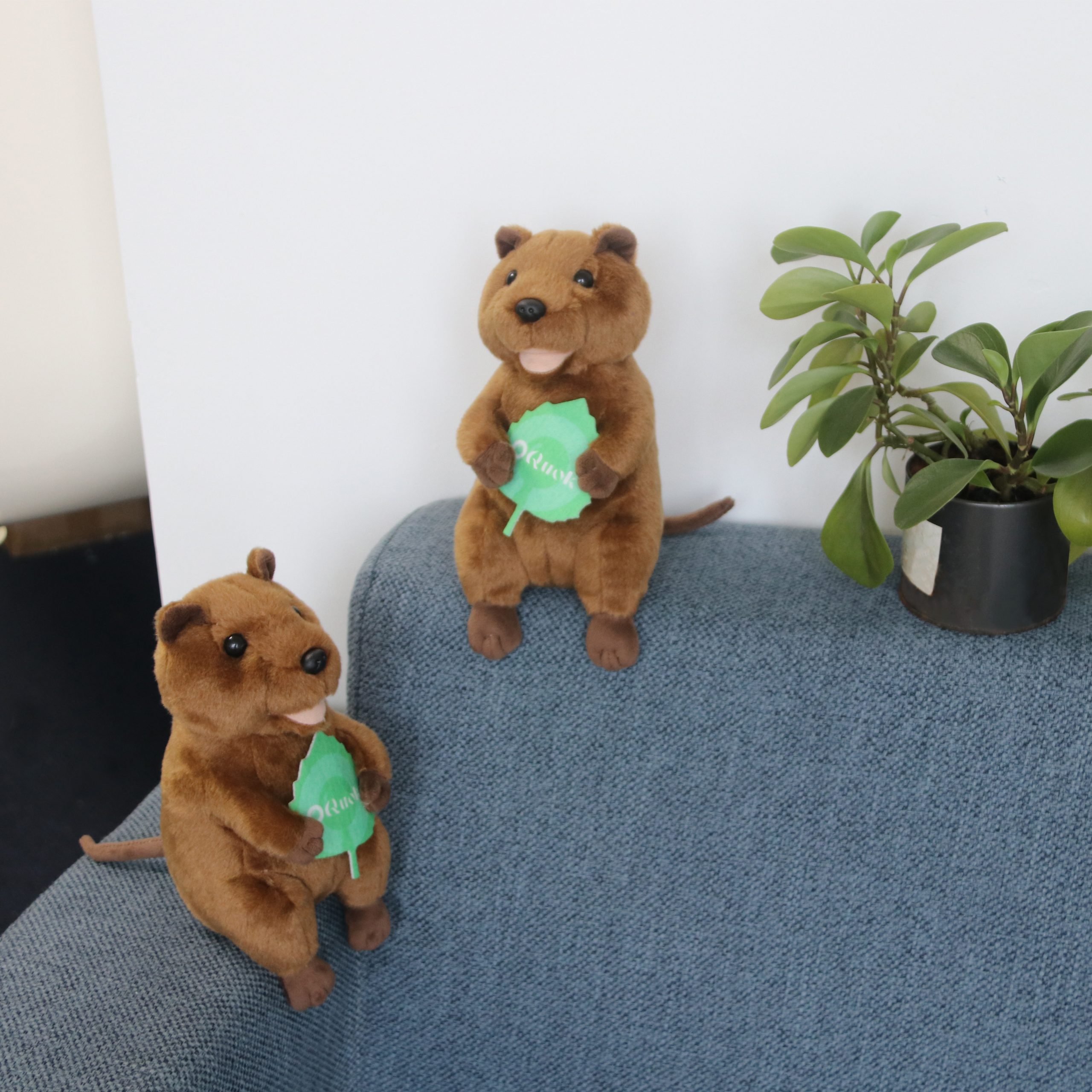Custom Quokka Plush Toy - Image 8