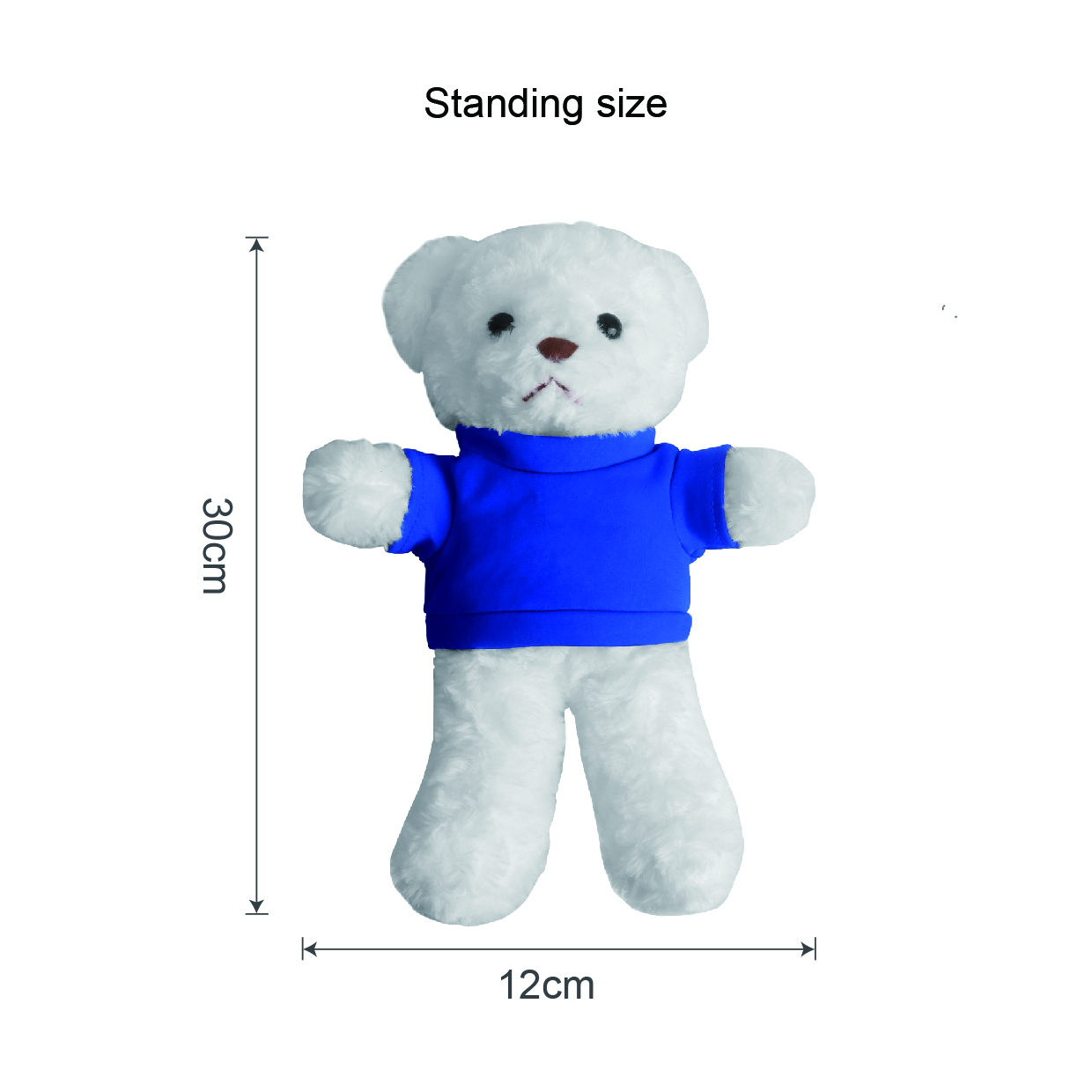 T-shirt Bear Plush Toy - Image 6
