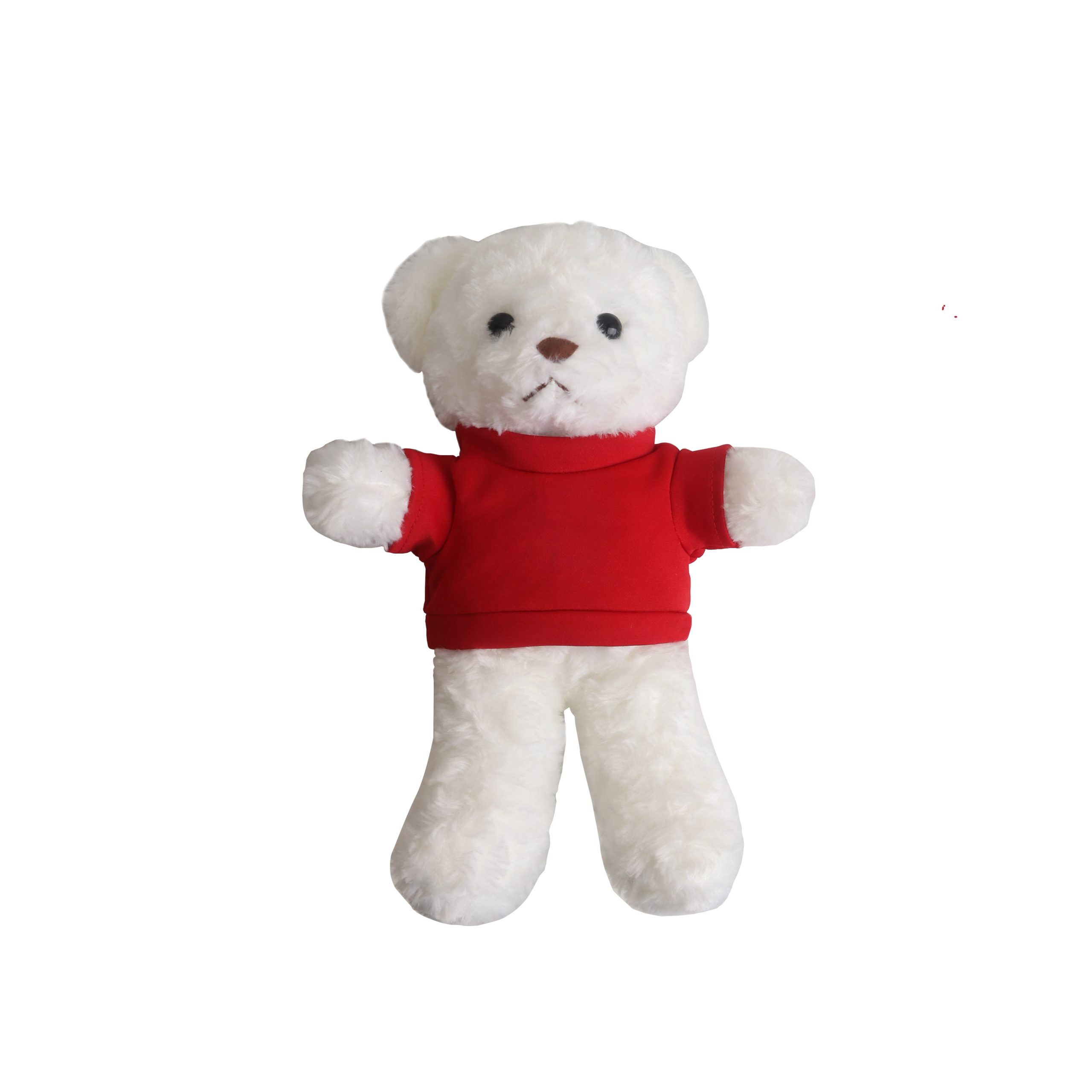 T-shirt Bear Plush Toy - Image 4