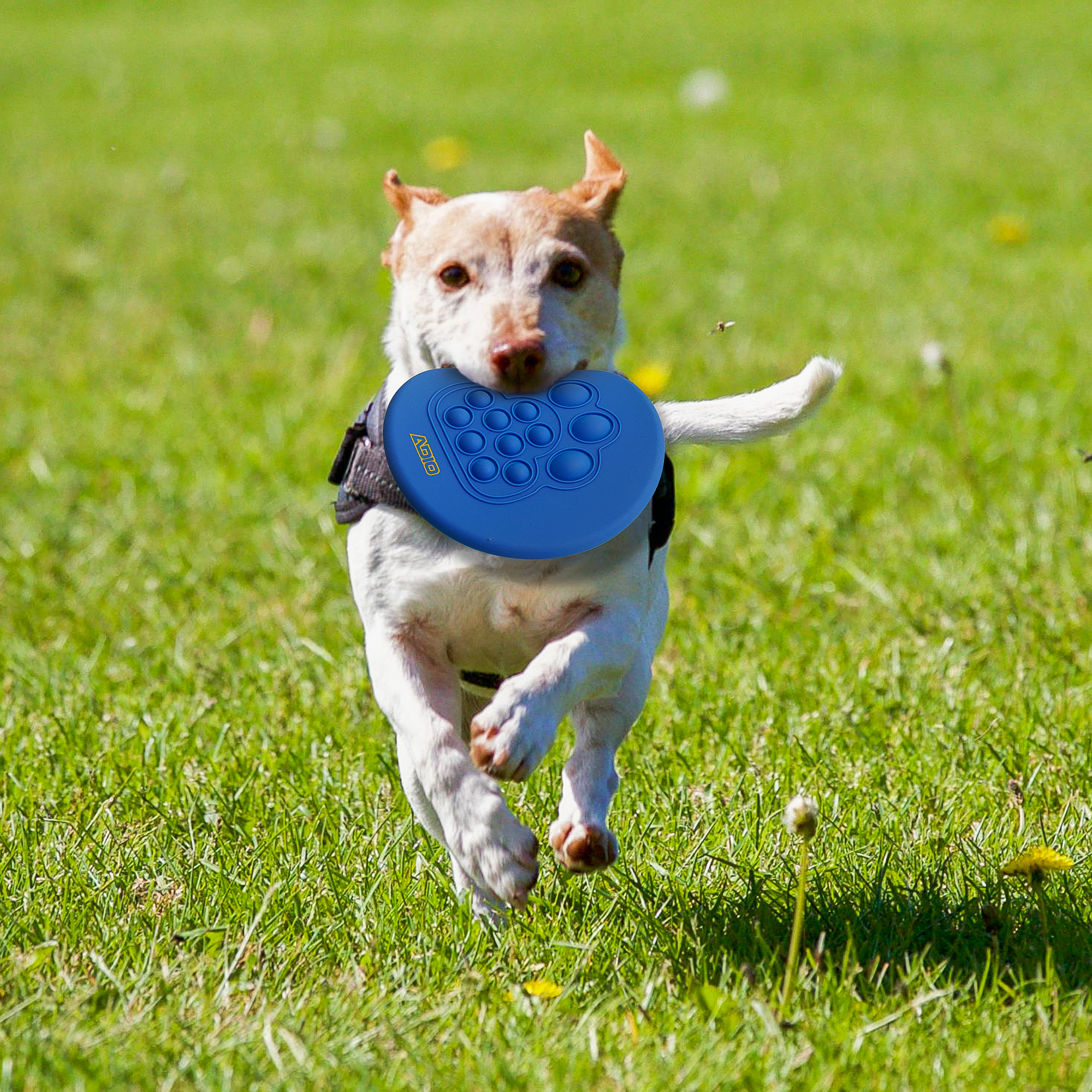 Pop fidget frisbee - Image 5