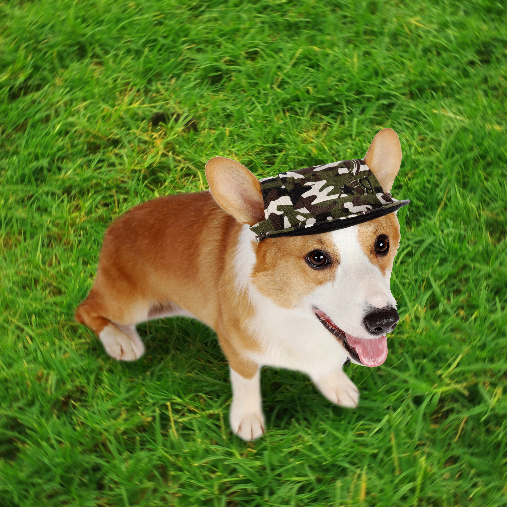 Dog Baseball Hat - Image 8