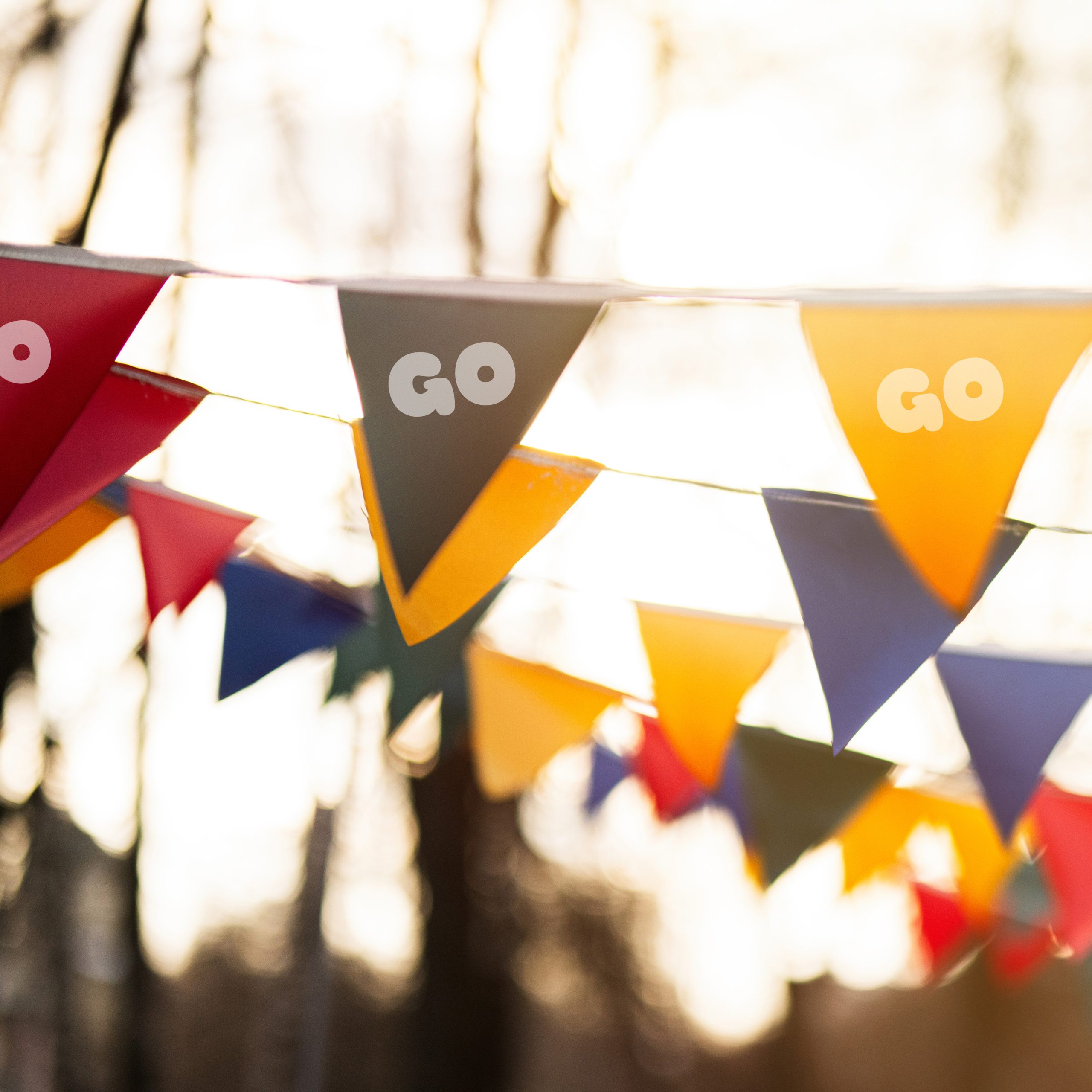 Custom Paper Pennant String Flags - Image 4