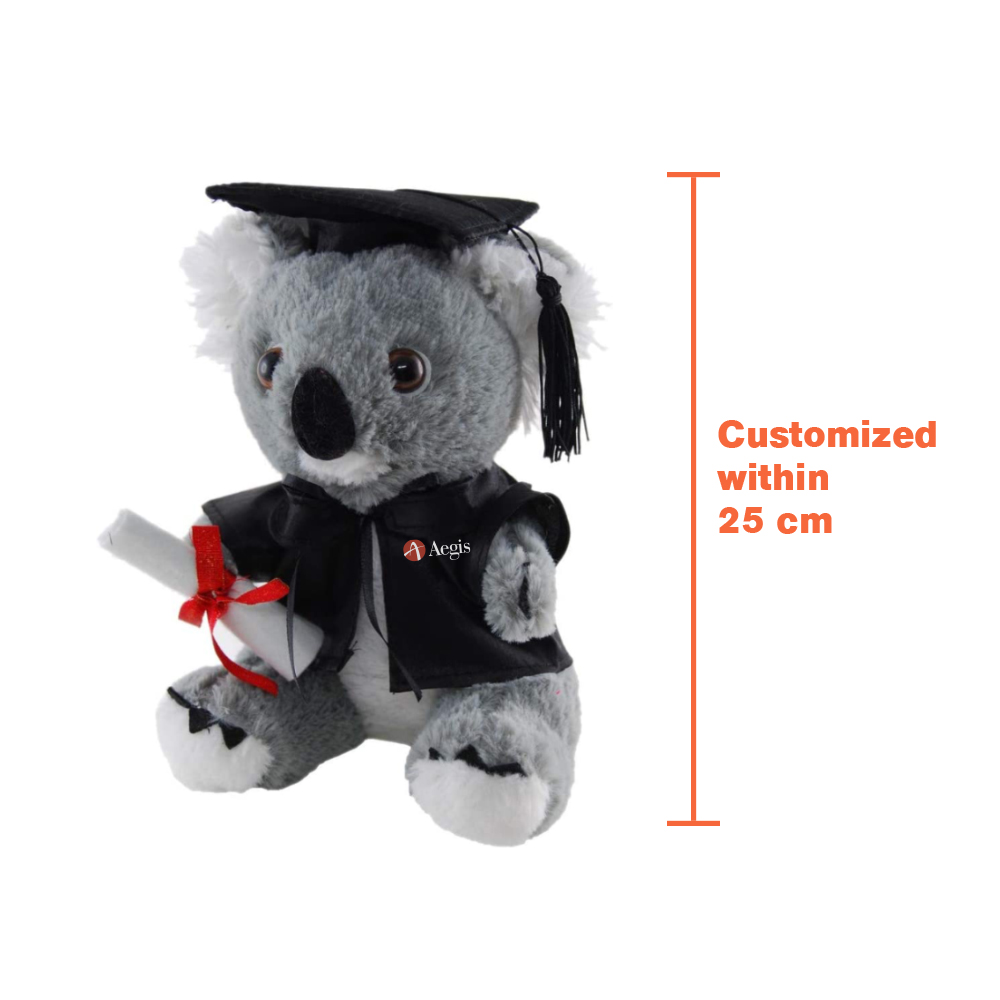 Custom Graduation Plush Toy - Image 3