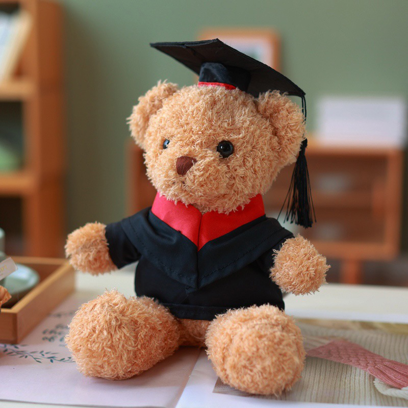 Custom Graduation Plush Toy - Image 5