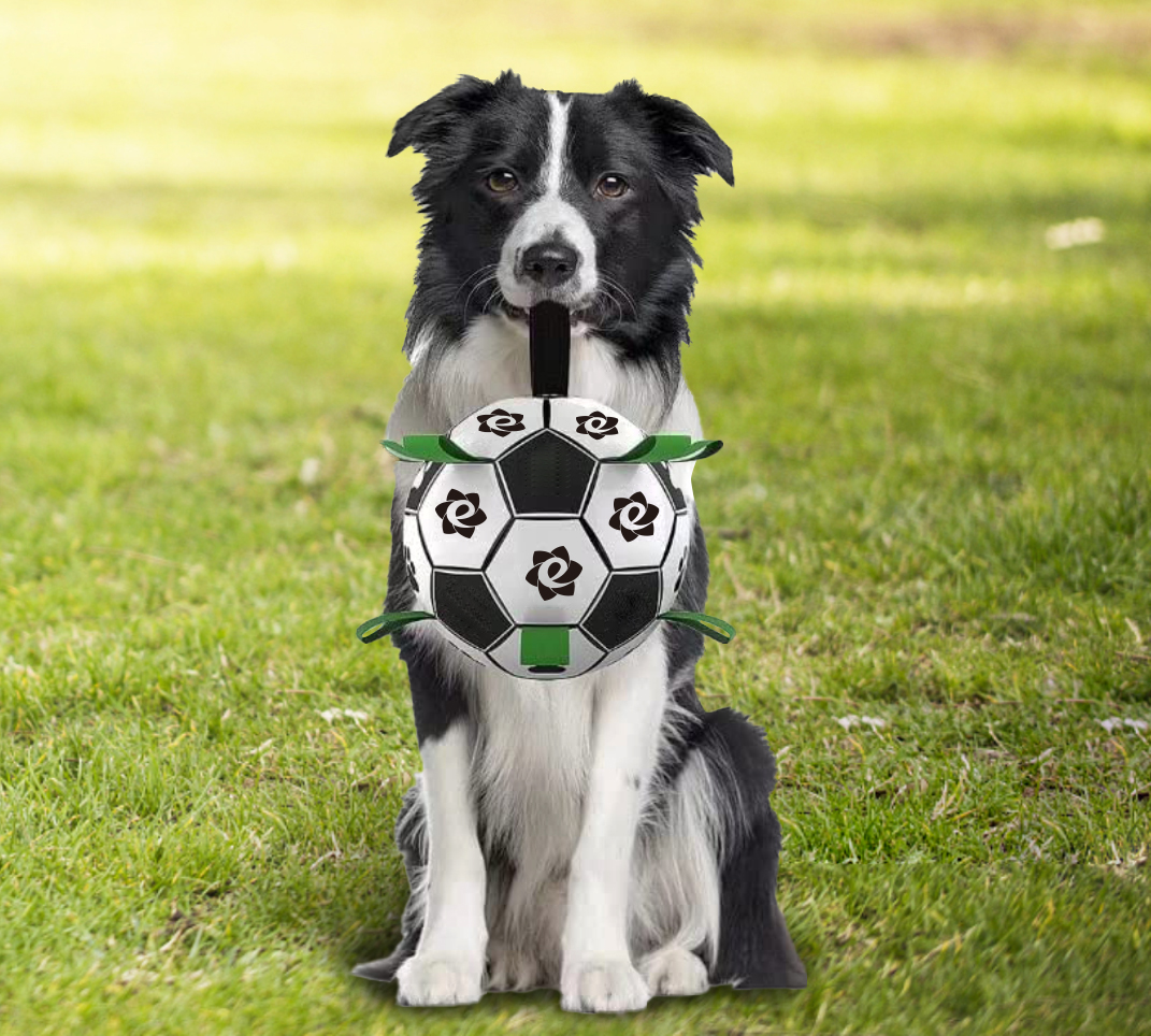 Dog Soccer Ball With Grab Tabs - Image 6