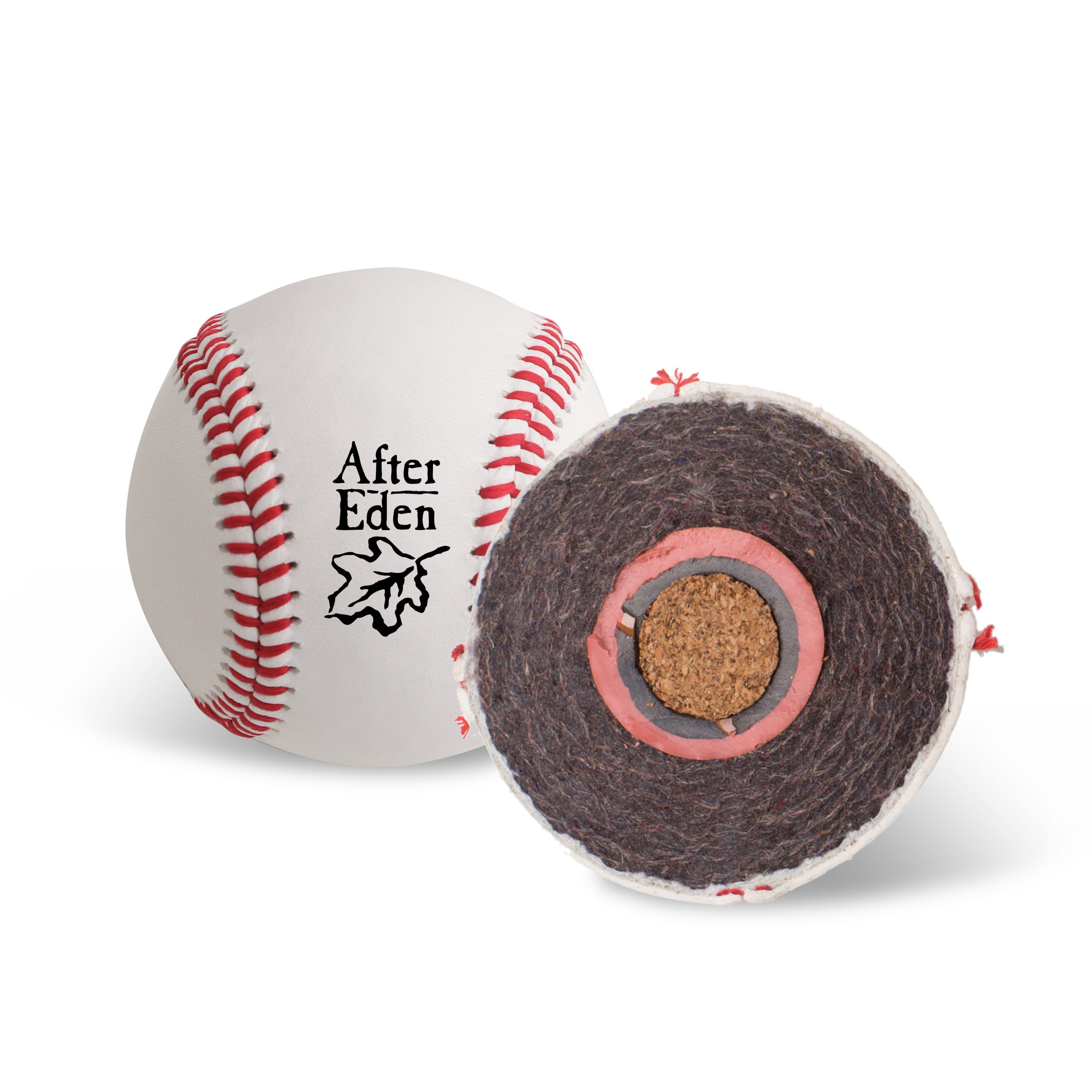 Training Baseball - Image 2