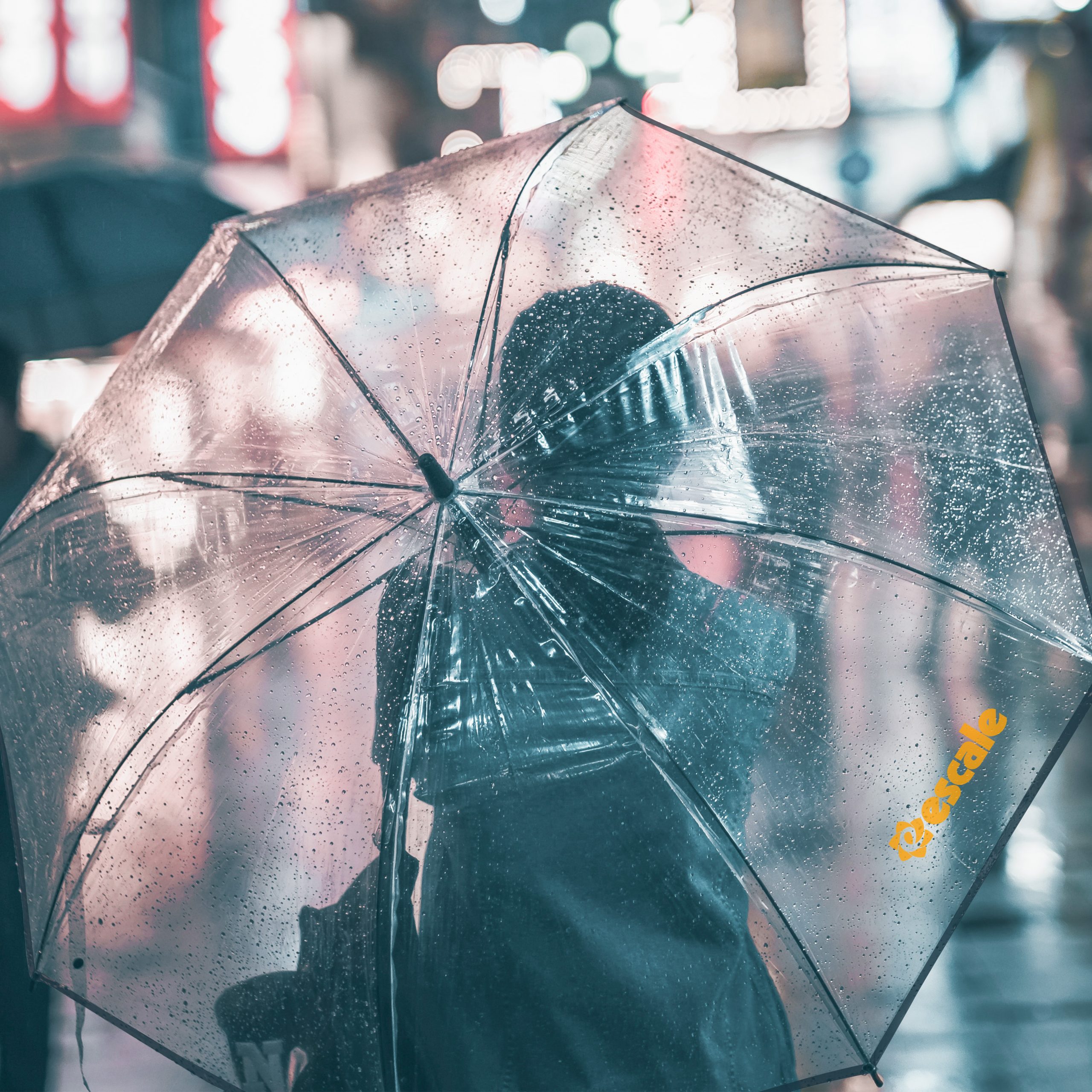 Transparent Eight-Panel Umbrella - Image 6