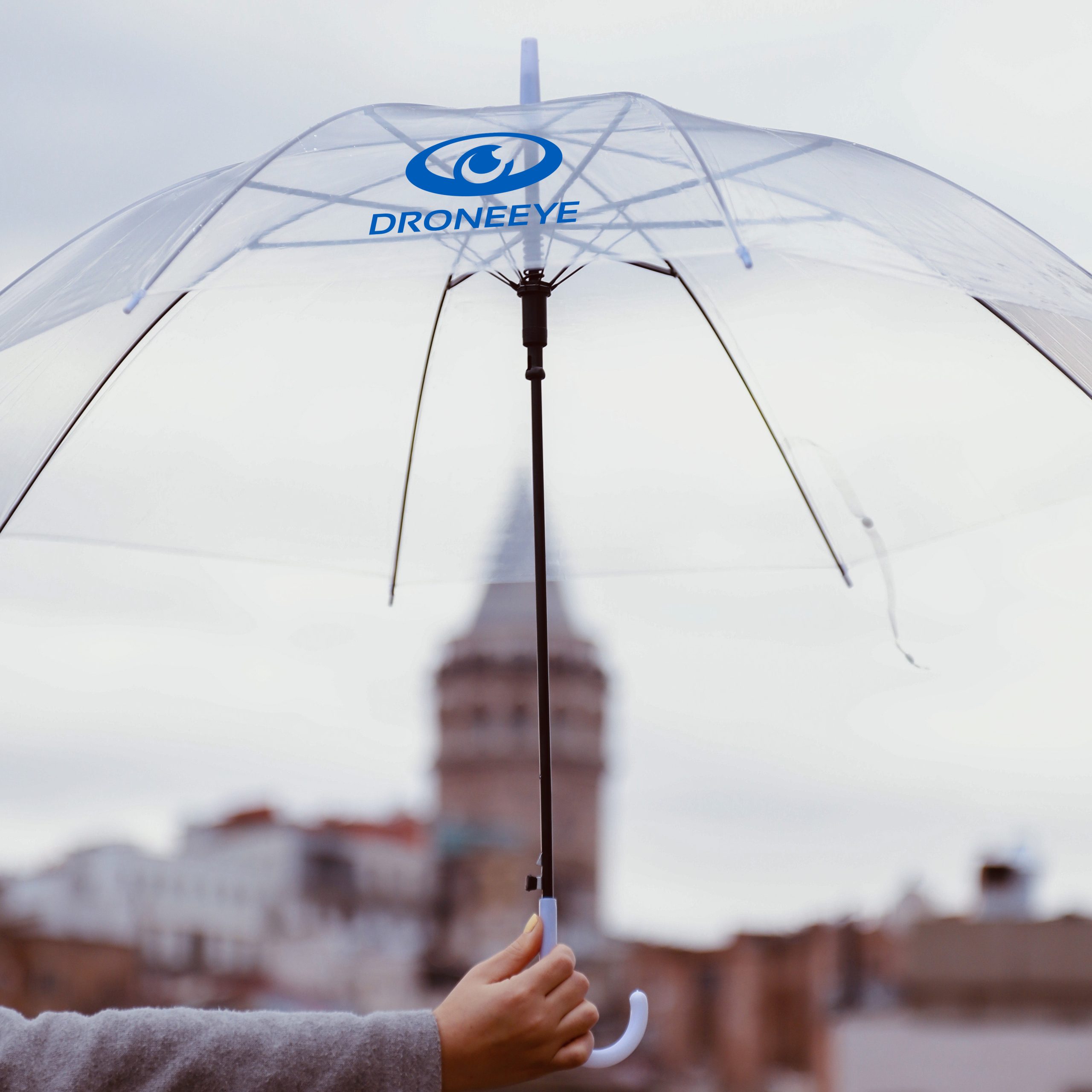 Transparent Eight-Panel Umbrella - Image 5
