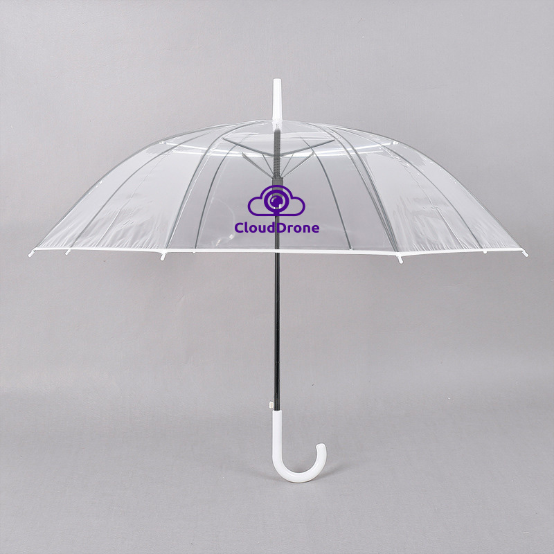 Transparent Eight-Panel Umbrella - Image 2