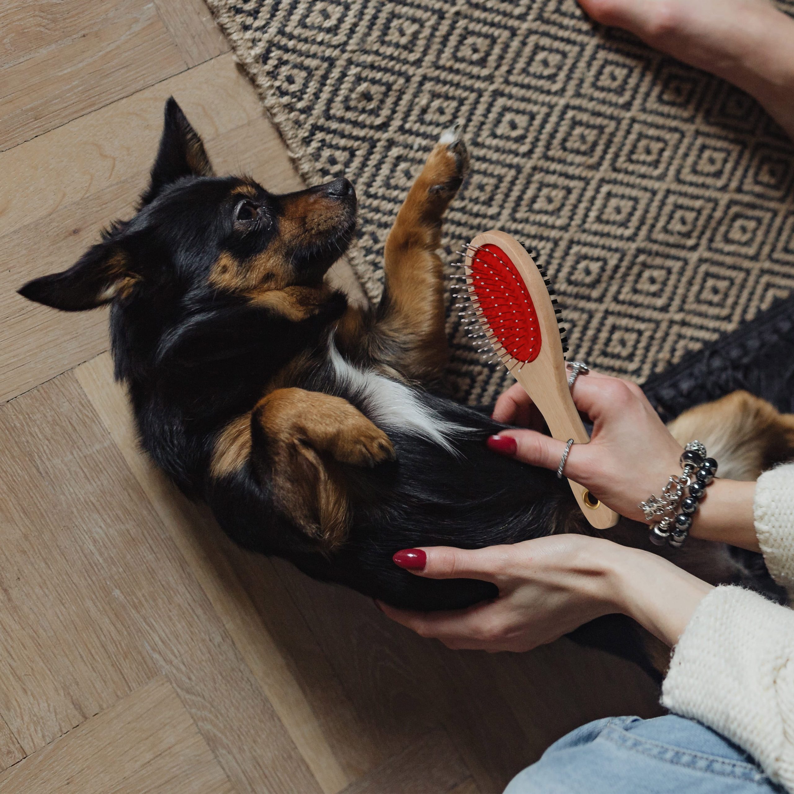 Pin and Bristle Pet Brush - Image 4