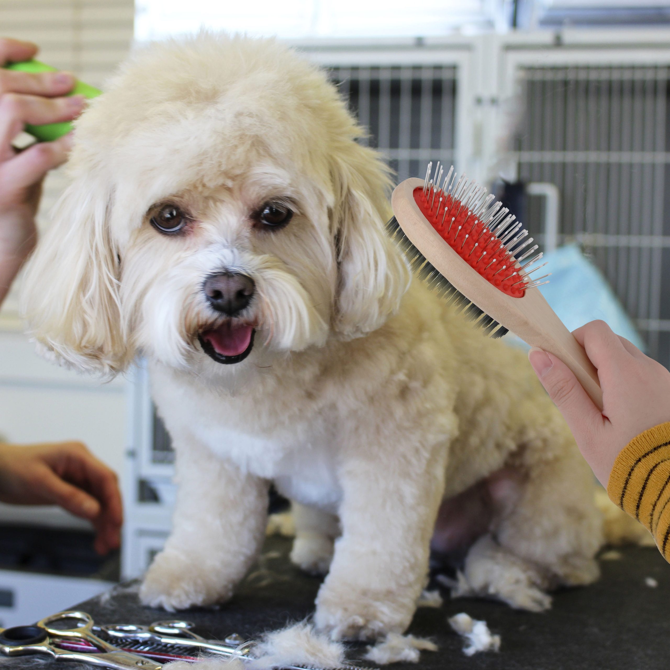 Pin and Bristle Pet Brush - Image 3