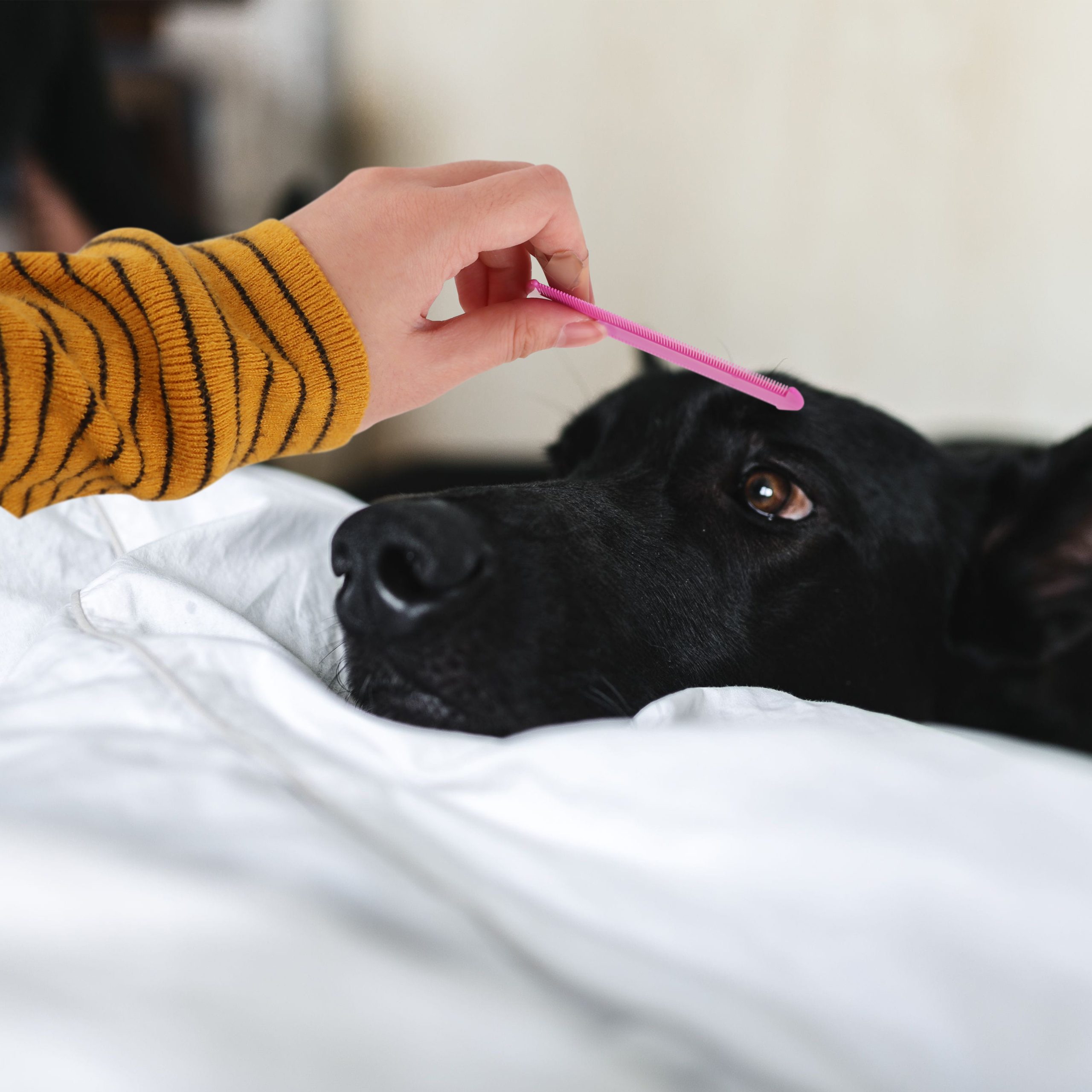 Pet Flea Comb - Image 10